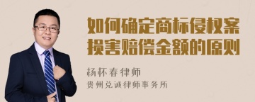 如何确定商标侵权案损害赔偿金额的原则