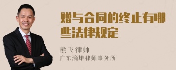 赠与合同的终止有哪些法律规定