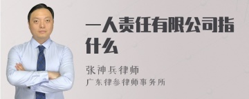 一人责任有限公司指什么