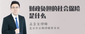 财政负担的社会保险是什么