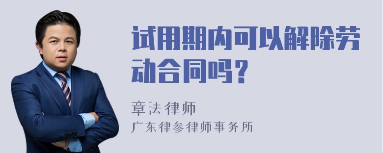 试用期内可以解除劳动合同吗？