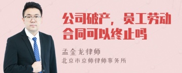 公司破产，员工劳动合同可以终止吗