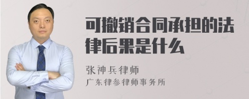 可撤销合同承担的法律后果是什么