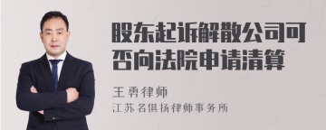 股东起诉解散公司可否向法院申请清算