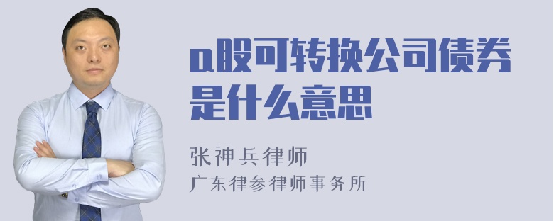 a股可转换公司债券是什么意思