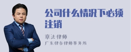 公司什么情况下必须注销