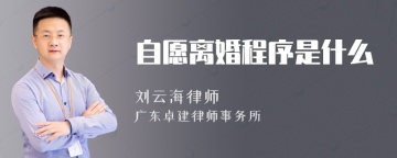 自愿离婚程序是什么