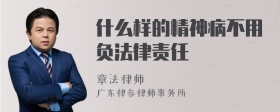 什么样的精神病不用负法律责任