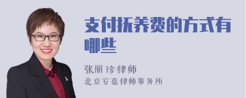 支付抚养费的方式有哪些