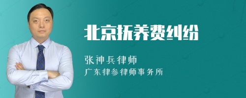 北京抚养费纠纷