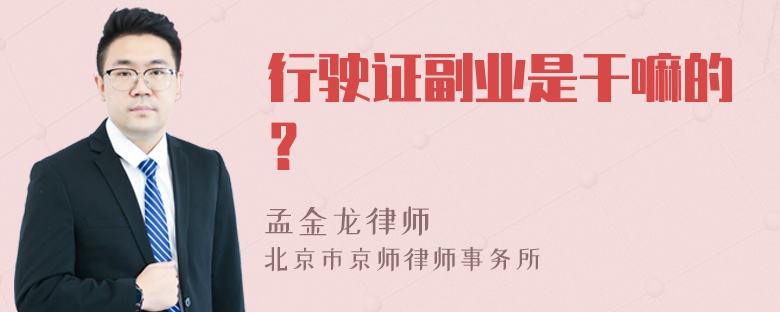 行驶证副业是干嘛的？