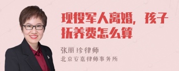 现役军人离婚，孩子抚养费怎么算