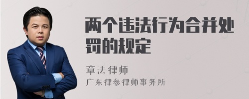 两个违法行为合并处罚的规定