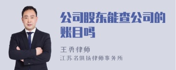 公司股东能查公司的账目吗