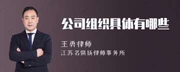 公司组织具体有哪些