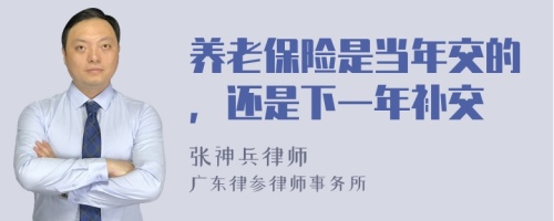 养老保险是当年交的，还是下一年补交