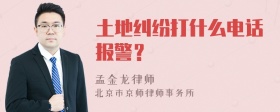 土地纠纷打什么电话报警？