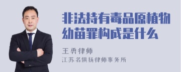 非法持有毒品原植物幼苗罪构成是什么