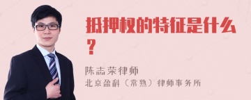 抵押权的特征是什么？