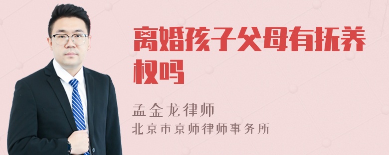 离婚孩子父母有抚养权吗