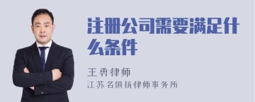 注册公司需要满足什么条件