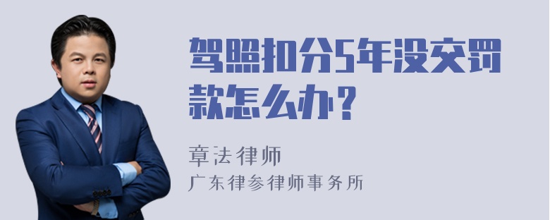 驾照扣分5年没交罚款怎么办？