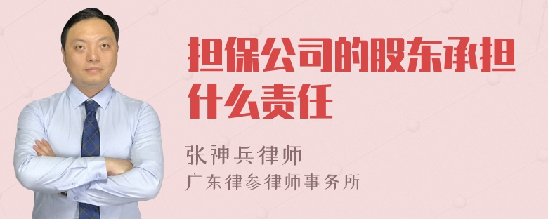 担保公司的股东承担什么责任