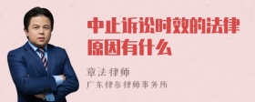 中止诉讼时效的法律原因有什么