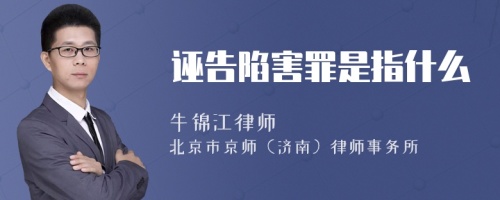 诬告陷害罪是指什么