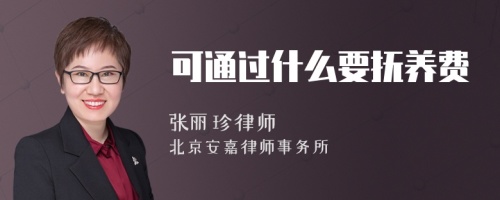 可通过什么要抚养费