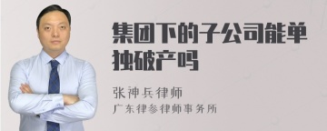 集团下的子公司能单独破产吗