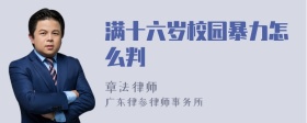 满十六岁校园暴力怎么判