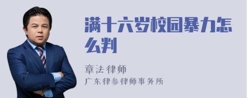 满十六岁校园暴力怎么判