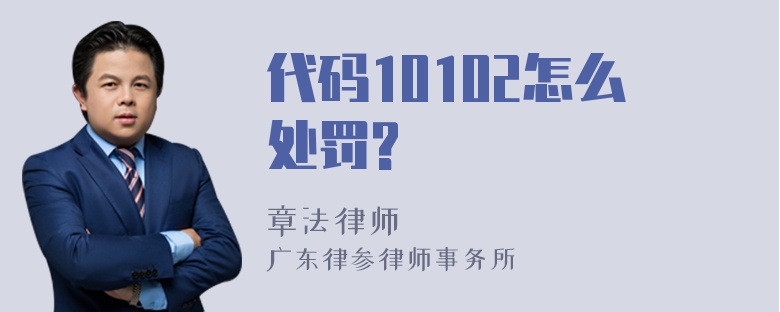 代码10102怎么处罚?