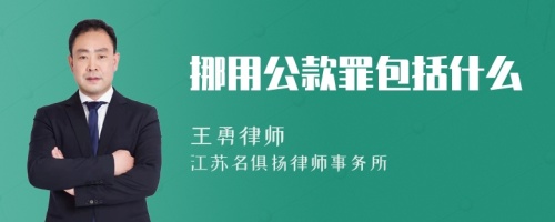 挪用公款罪包括什么