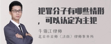 犯罪分子有哪些情形，可以认定为主犯