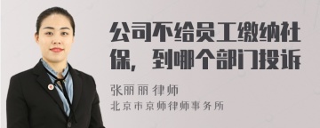 公司不给员工缴纳社保，到哪个部门投诉