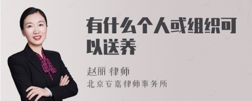 有什么个人或组织可以送养