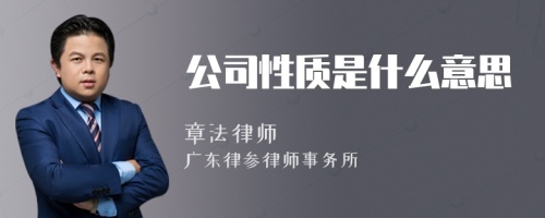 公司性质是什么意思