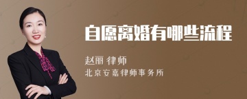 自愿离婚有哪些流程
