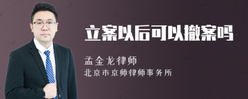 立案以后可以撤案吗