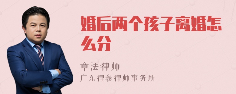 婚后两个孩子离婚怎么分