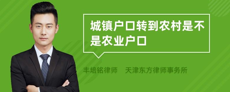 城镇户口转到农村是不是农业户口