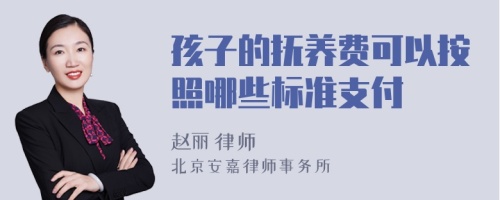 孩子的抚养费可以按照哪些标准支付