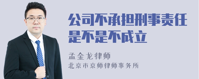 公司不承担刑事责任是不是不成立