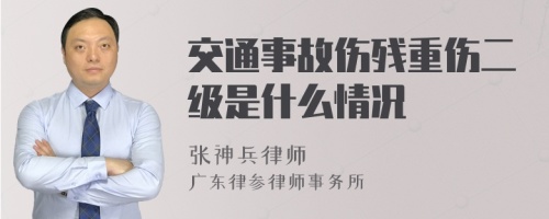 交通事故伤残重伤二级是什么情况