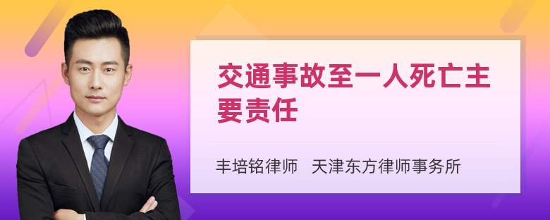 交通事故至一人死亡主要责任