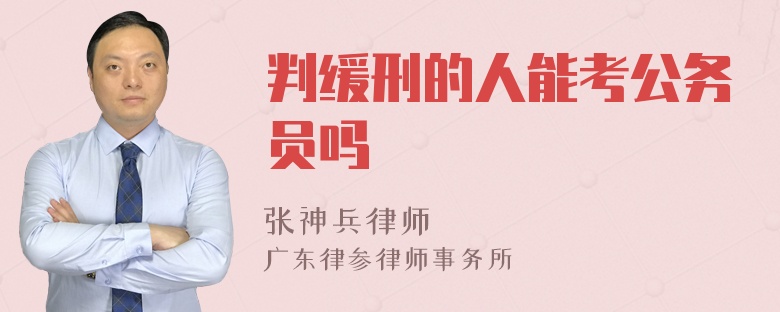 判缓刑的人能考公务员吗