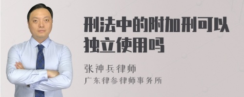 刑法中的附加刑可以独立使用吗