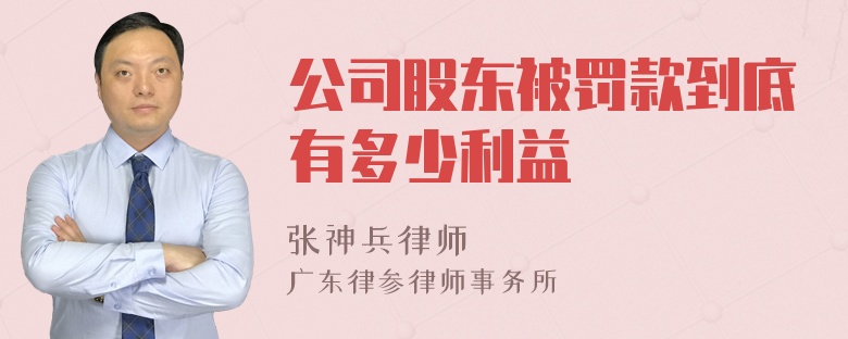 公司股东被罚款到底有多少利益